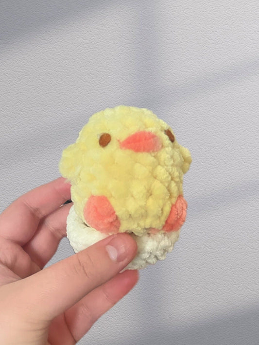 Baby Chick With Eggshell