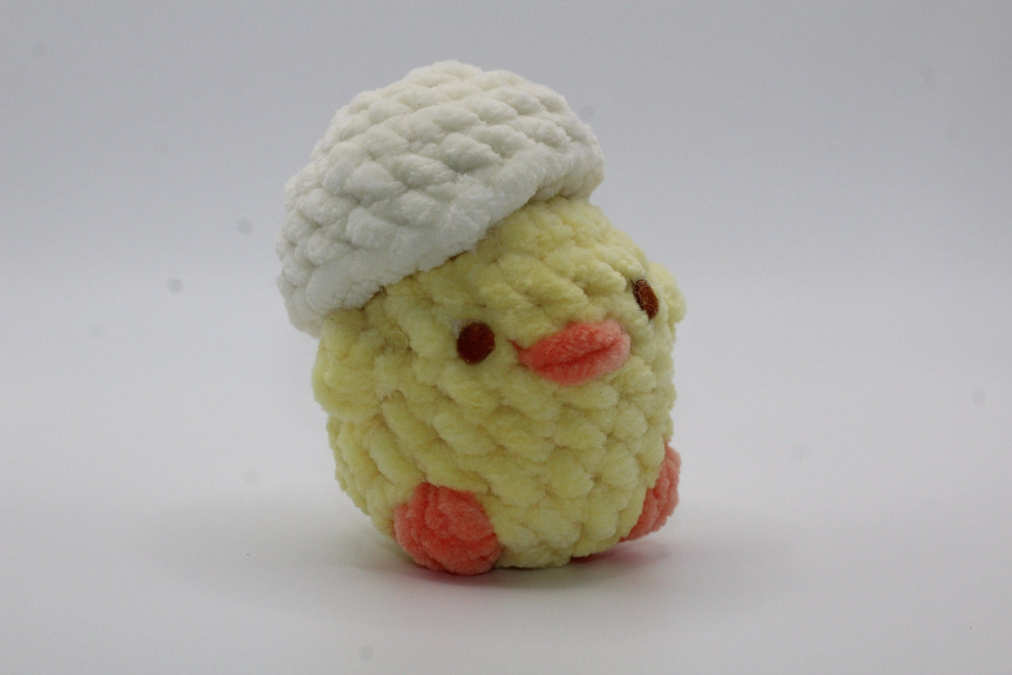 Baby Chick With Eggshell