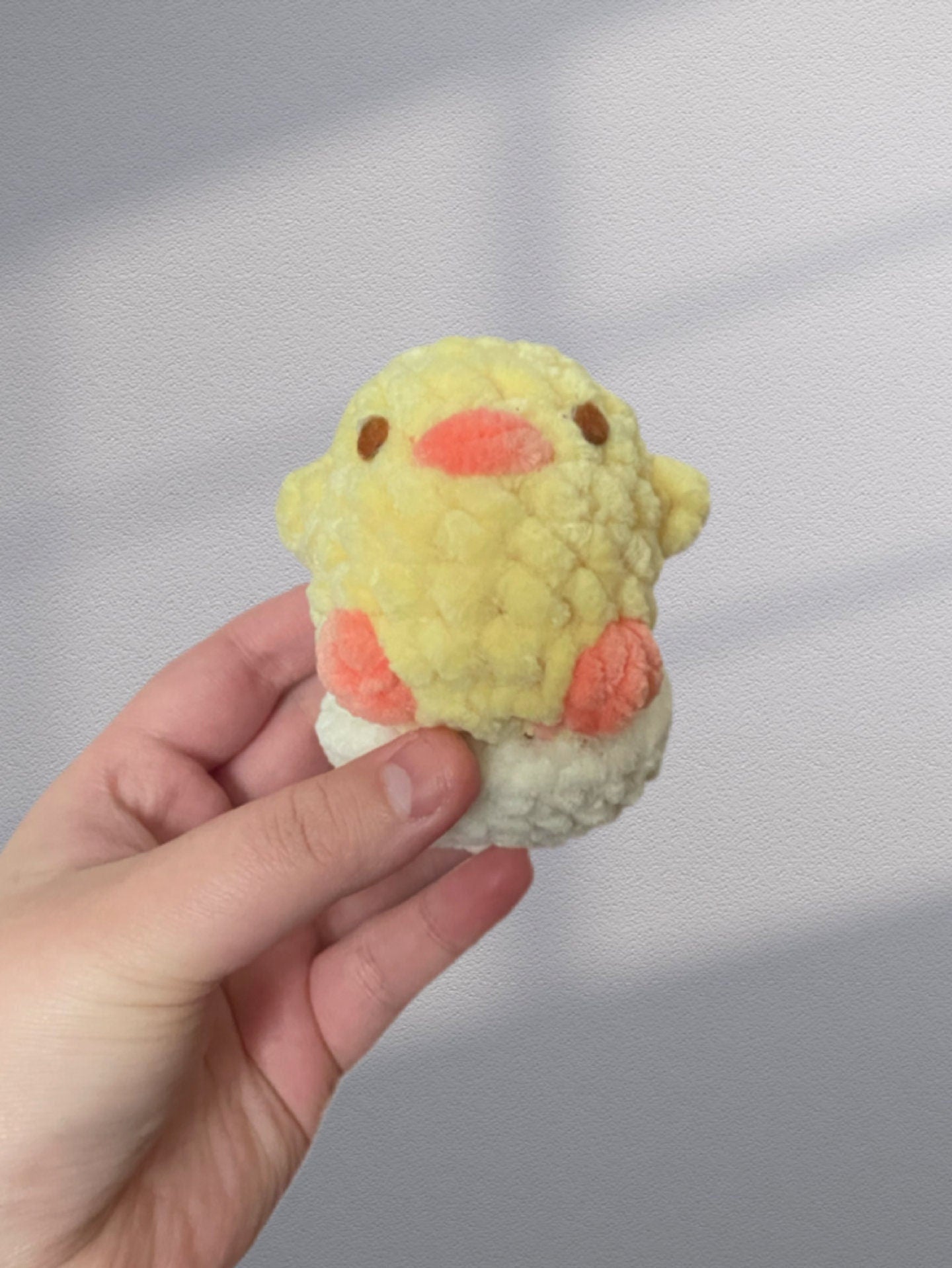 Baby Chick With Eggshell